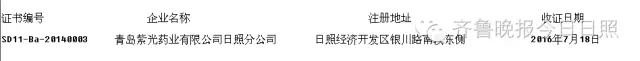 5.webp