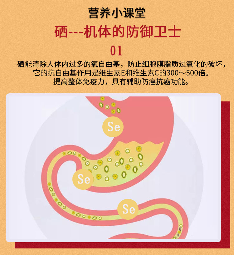 礼盒中老年_07