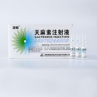 天麻素注射液（静脉滴注）